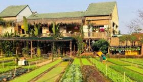 Begin your visa-prepared day with Hoi An’s tranquil ambiance